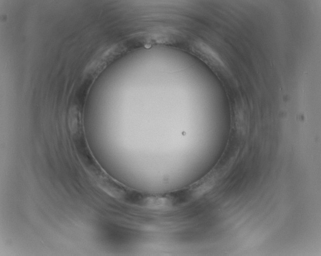 X0000060740169200511241647