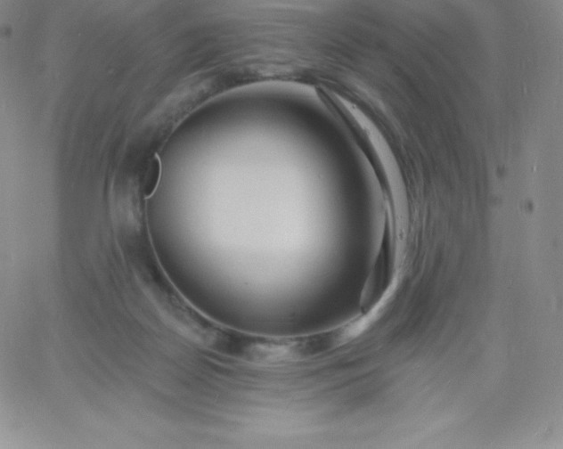 X0000060740170200511241647