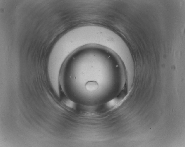 X0000060740171200511241647