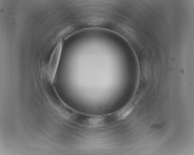 X0000060740172200511241647