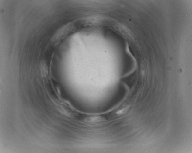 X0000060740173200511241647