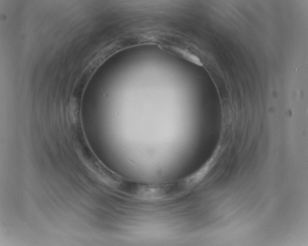 X0000060740174200511241647