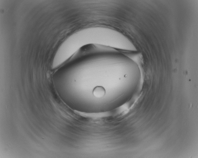 X0000060740175200511241647