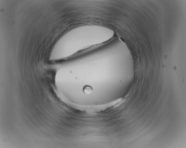 X0000060740176200511241647