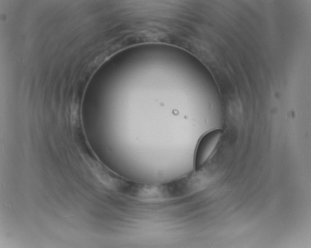 X0000060740177200511241647