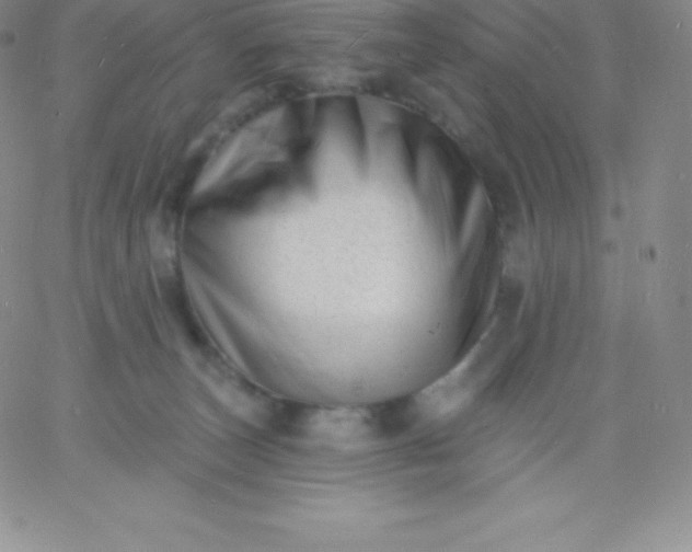 X0000060740179200511241647