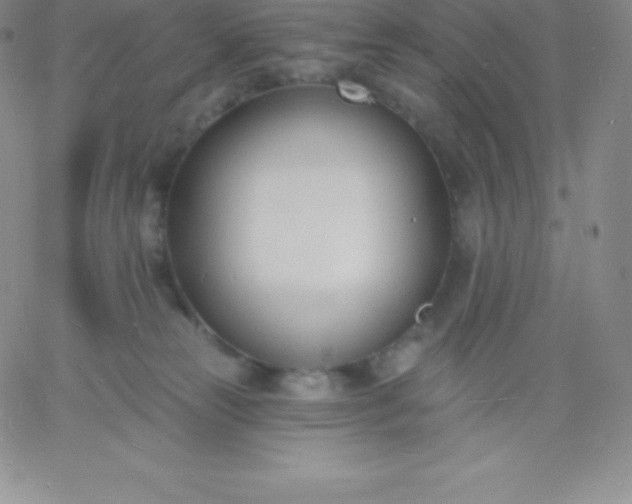 X0000060740181200511241647