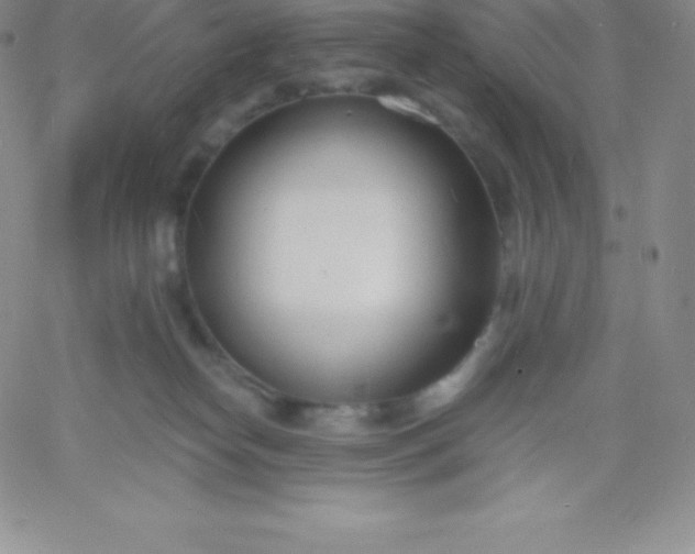 X0000060740182200511241647