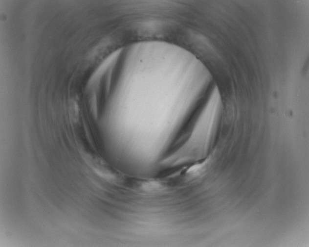 X0000060740183200511241647