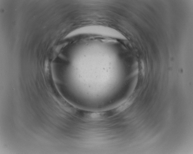 X0000060740184200511241647