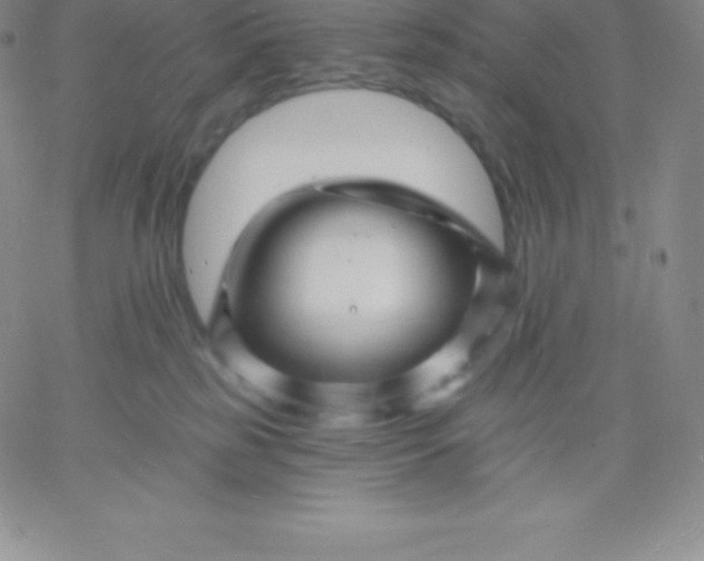 X0000060740185200511241647