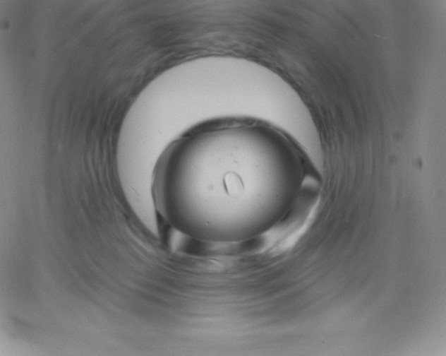 X0000060740186200511241647