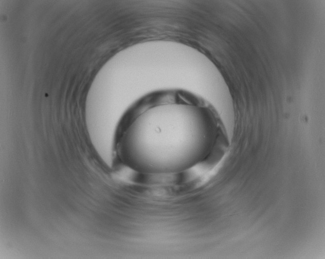 X0000060740187200511241647