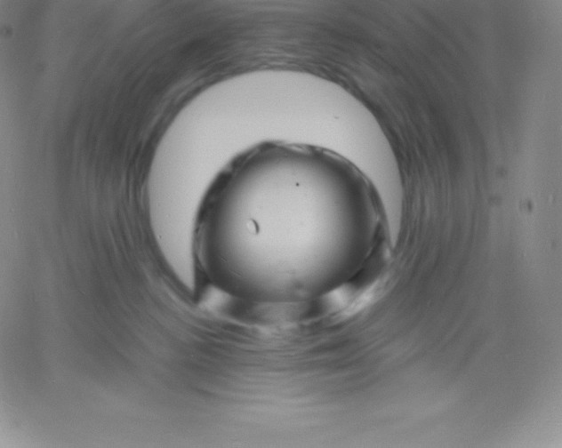 X0000060740188200511241647