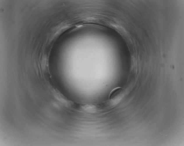 X0000060740189200511241647