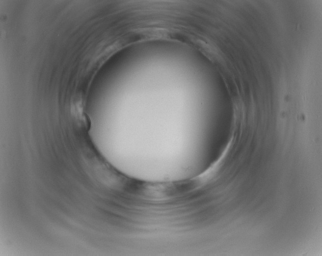 X0000060740190200511241647