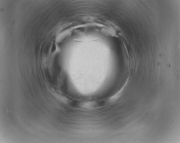 X0000060740191200511241647