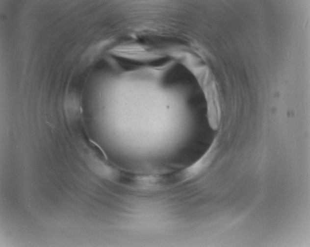 X0000060740192200511241647