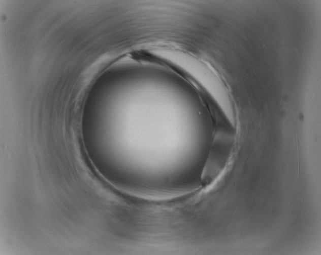 X0000060740193200511241646