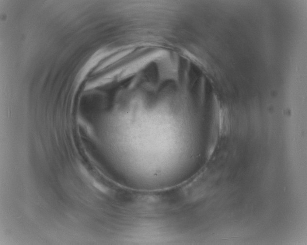 X0000060740195200511241646