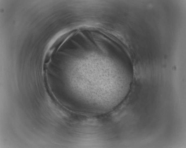 X0000060740196200511241646