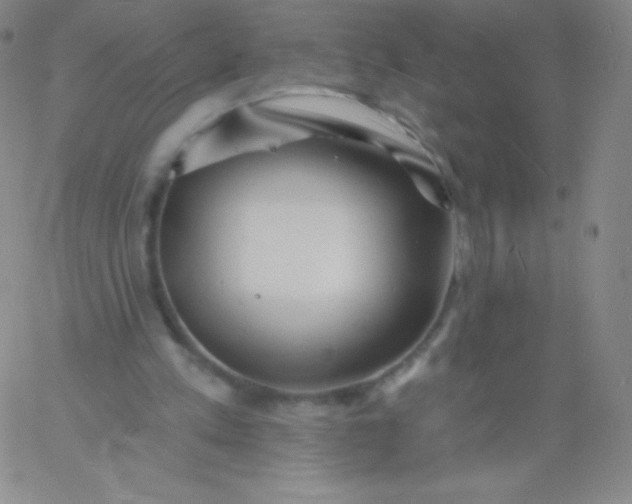 X0000060740197200511241646