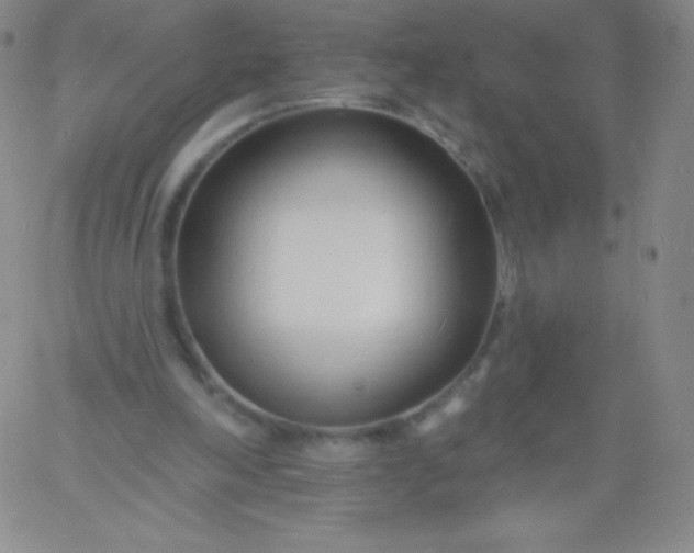 X0000060740198200511241646