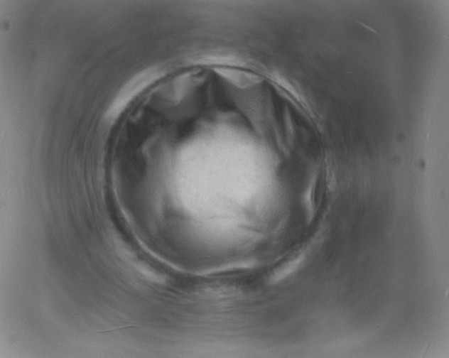 X0000060740199200511241646