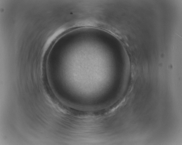 X0000060740200200511241646