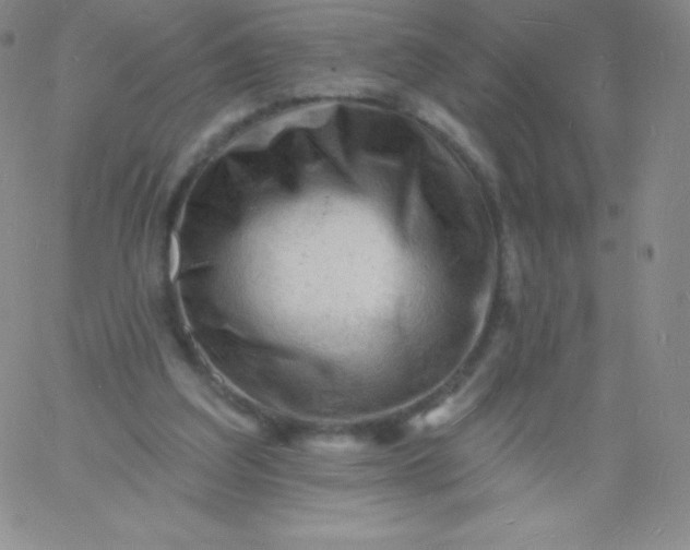 X0000060740203200511241646