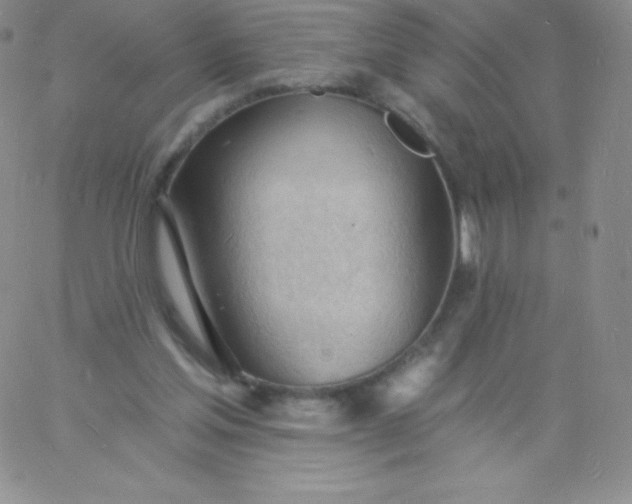 X0000060740205200511241646