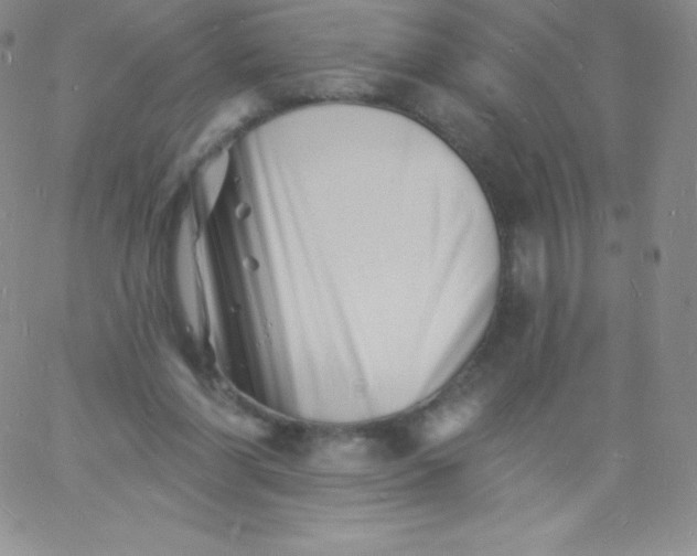 X0000060740206200511241646