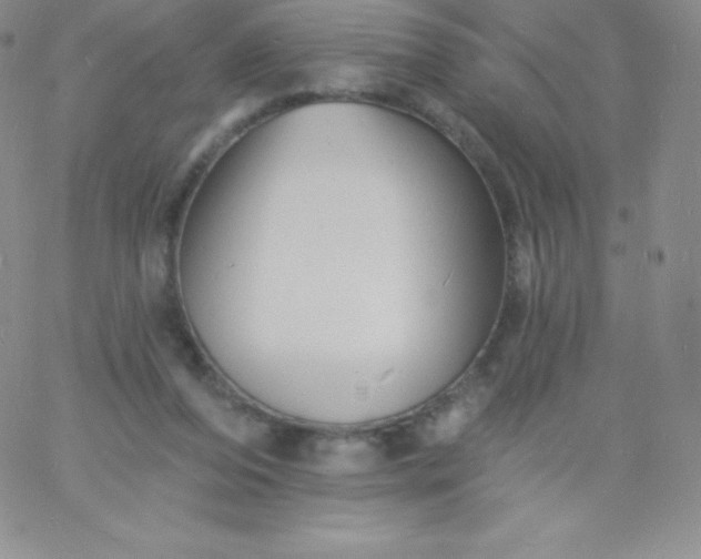 X0000060740208200511241646