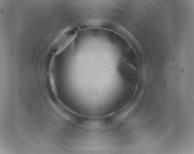 X0000060740209200511241646