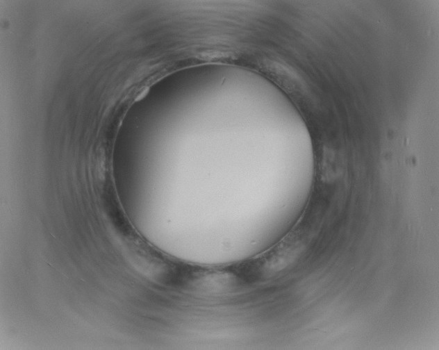 X0000060740210200511241646