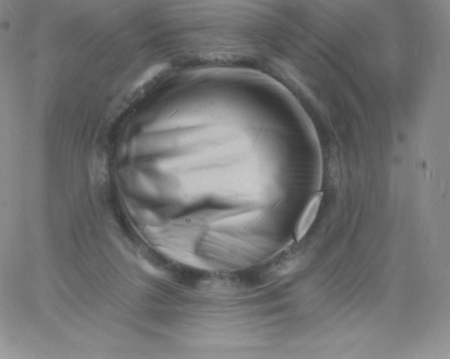 X0000060740211200511241646