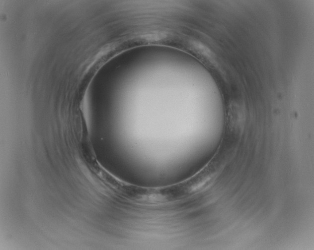 X0000060740212200511241646