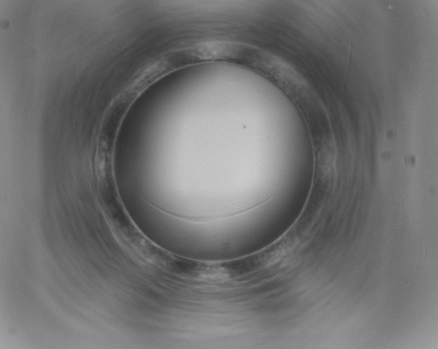 X0000060740214200511241646