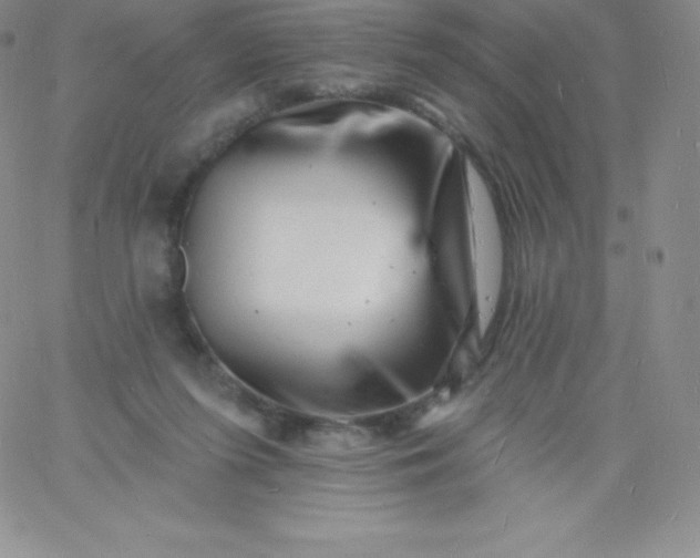 X0000060740215200511241646