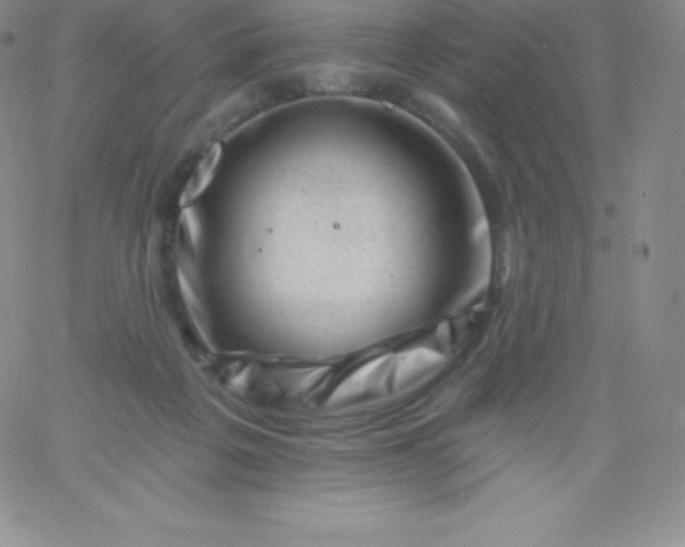 X0000060740217200511241646