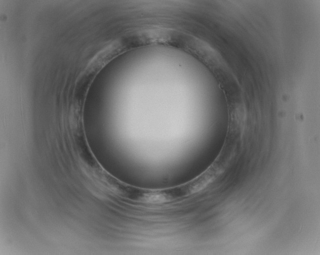 X0000060740218200511241646