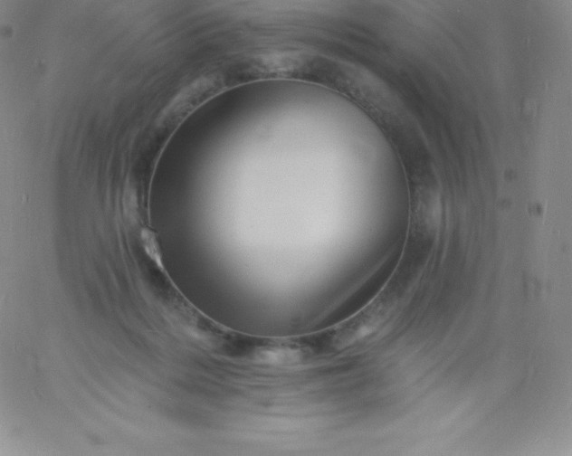 X0000060740220200511241646