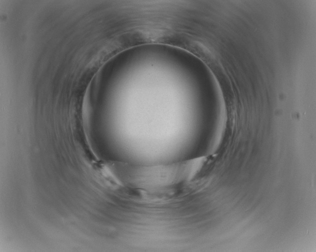 X0000060740221200511241646