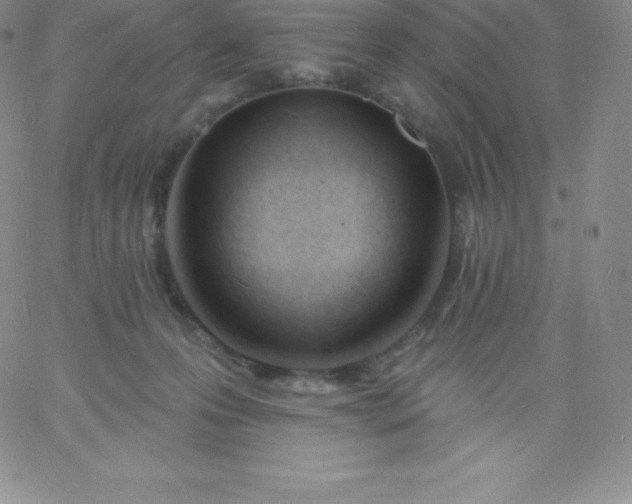 X0000060740223200511241646