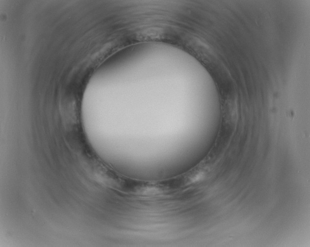 X0000060740224200511241646