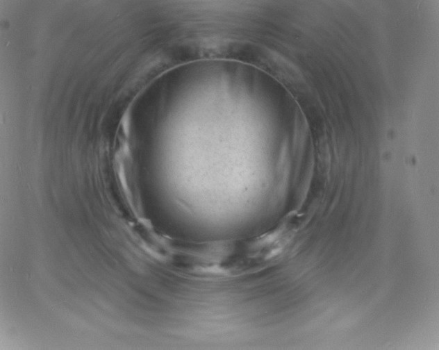 X0000060740225200511241646