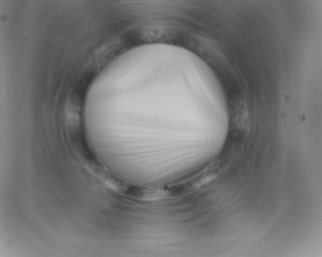 X0000060740226200511241646