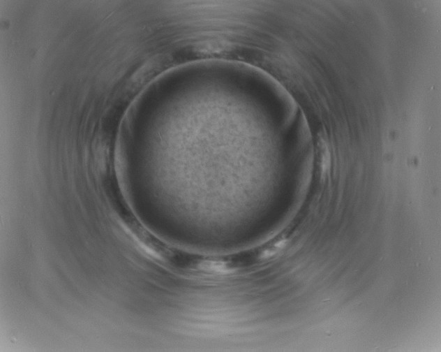 X0000060740227200511241646