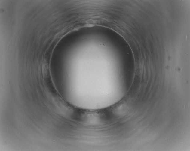 X0000060740228200511241646