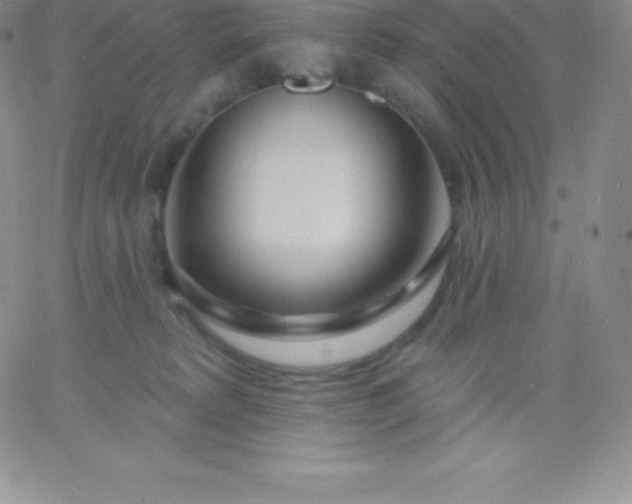 X0000060740229200511241646